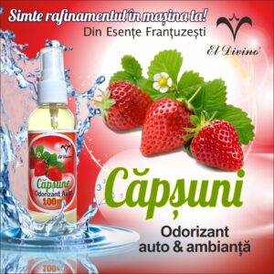 Odorizant auto concentrat 100 ml – Capsuni